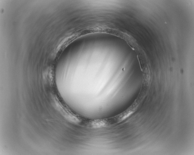 X0000052940762200507221146