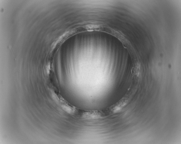 X0000052940763200507221146