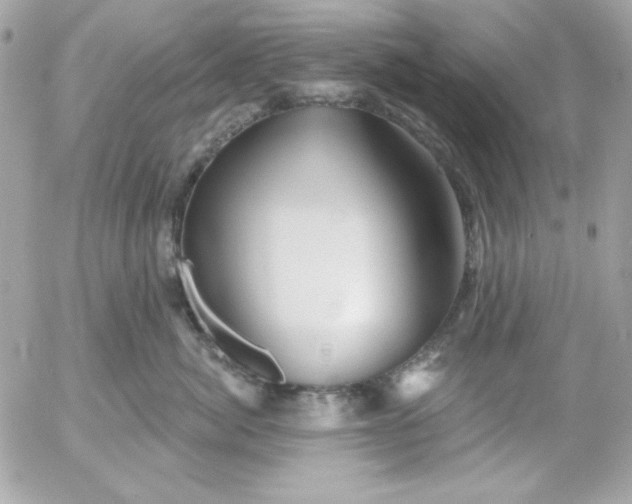 X0000052940764200507221146