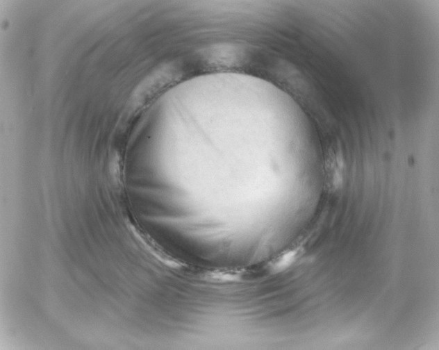 X0000052940765200507221146