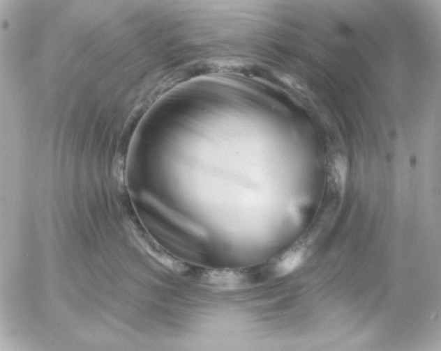 X0000052940766200507221146