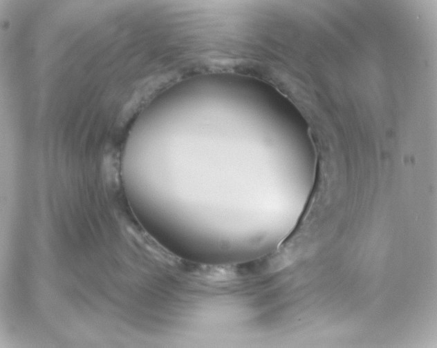 X0000052940768200507221146