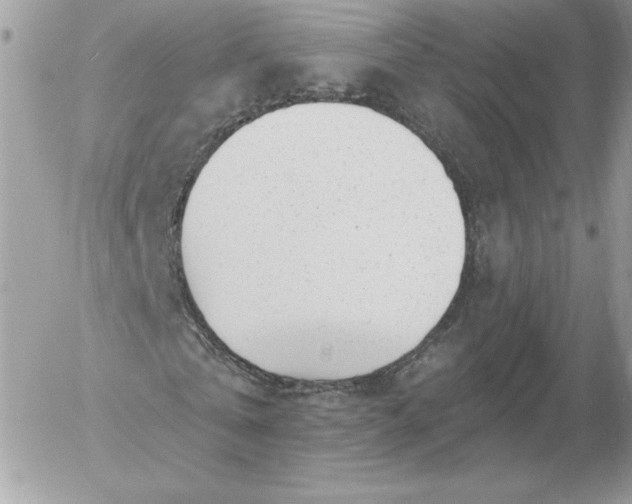 X0000052940769200507221146