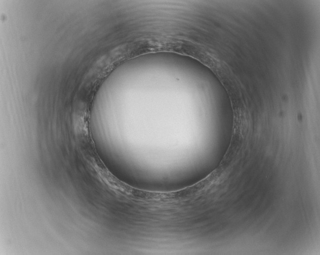 X0000052940770200507221145