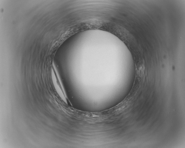 X0000052940772200507221145