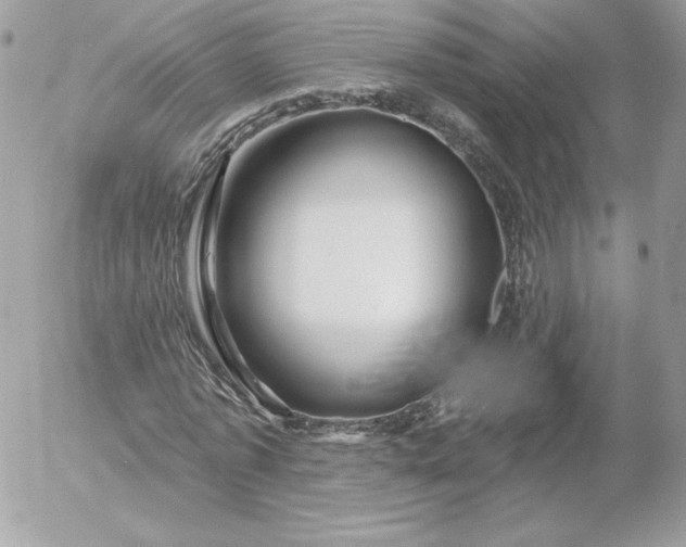 X0000052940773200507221145