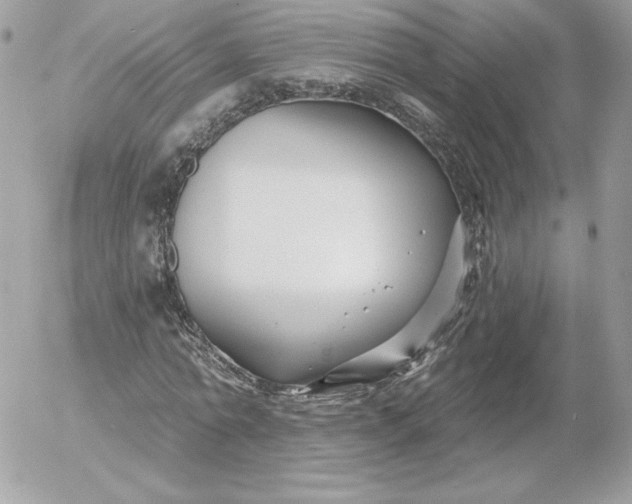 X0000052940774200507221145