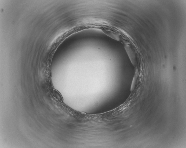 X0000052940775200507221145