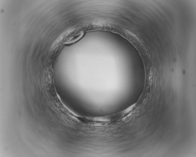 X0000052940776200507221145