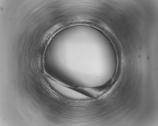 X0000052940777200507221145