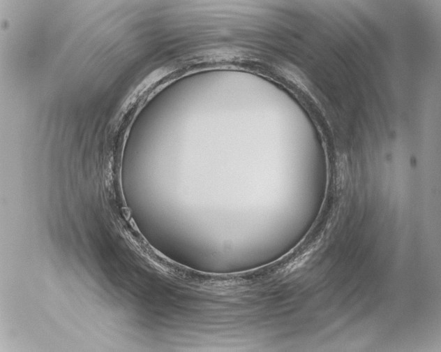 X0000052940778200507221145