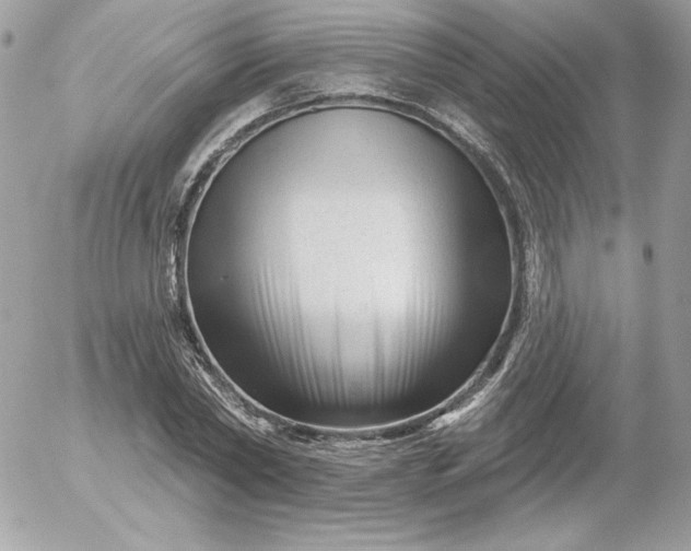 X0000052940782200507221145