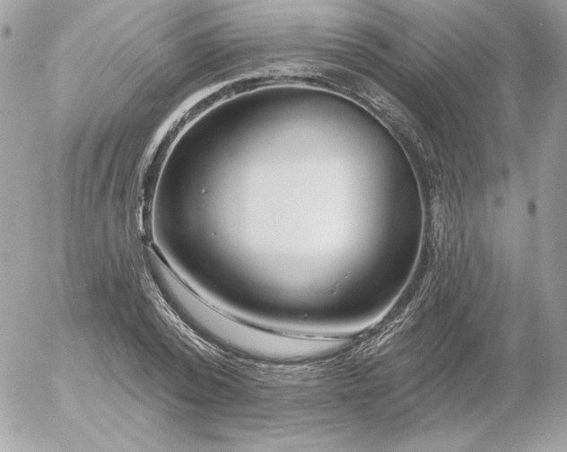 X0000052940784200507221145