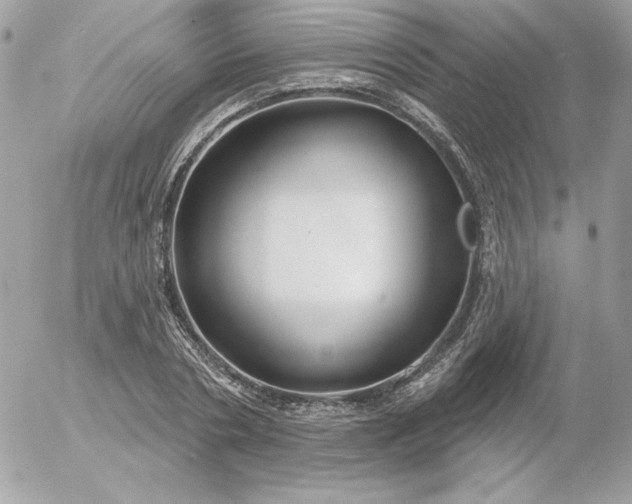 X0000052940786200507221145