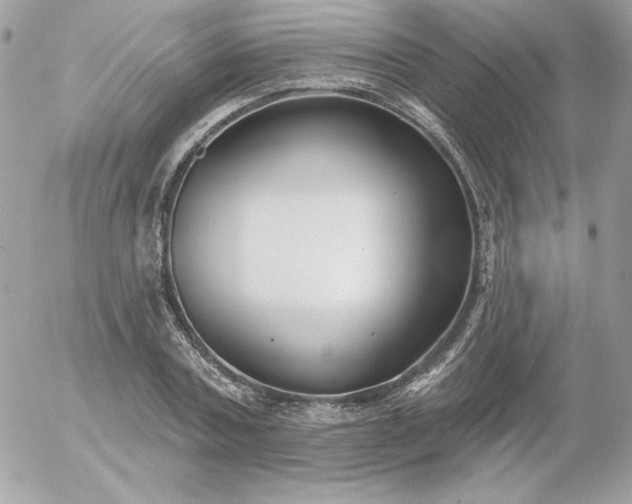 X0000052940787200507221145