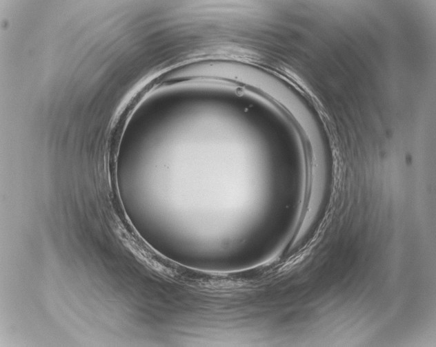 X0000052940788200507221145