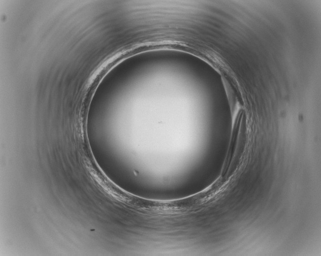 X0000052940789200507221145