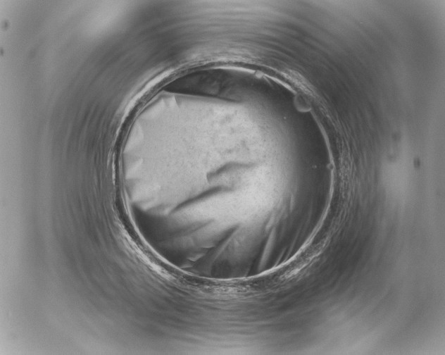 X0000052940790200507221145