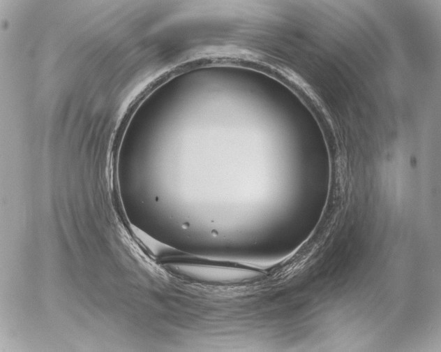 X0000052940791200507221145