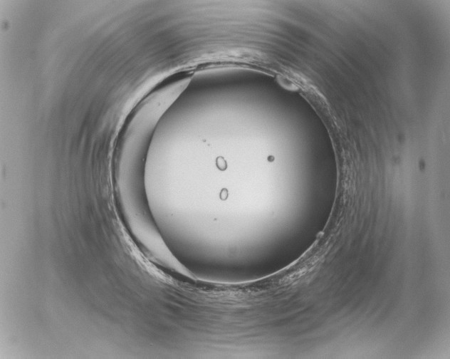 X0000052940792200507221145