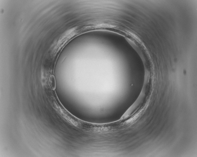 X0000052940793200507221145