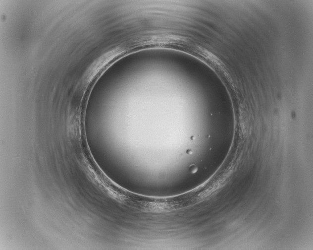 X0000052940794200507221145