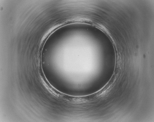 X0000052940795200507221145