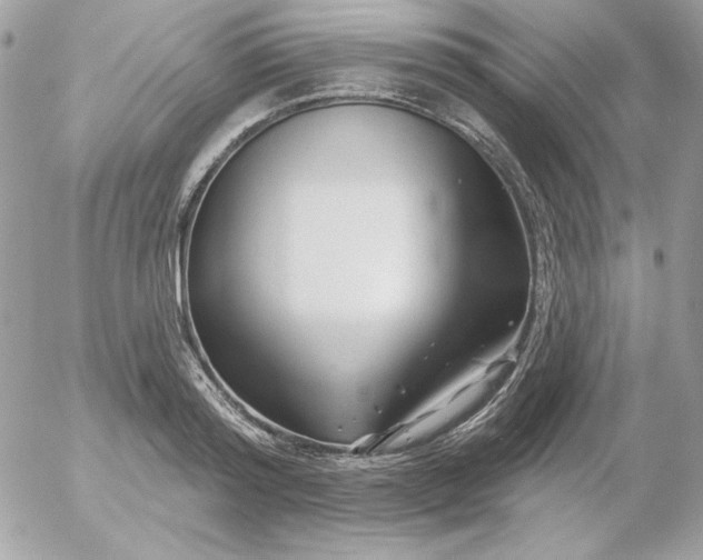 X0000052940796200507221145