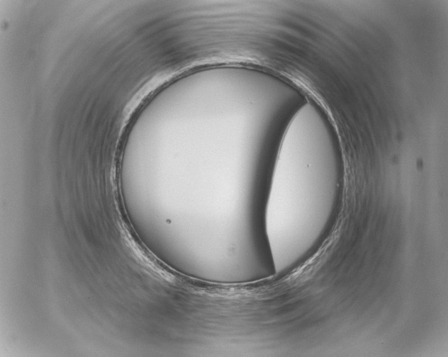 X0000052940797200507221145