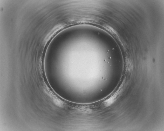 X0000052940798200507221145