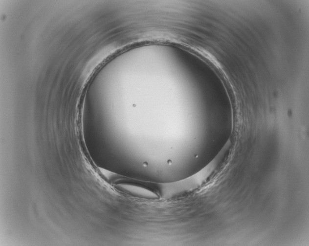 X0000052940799200507221145