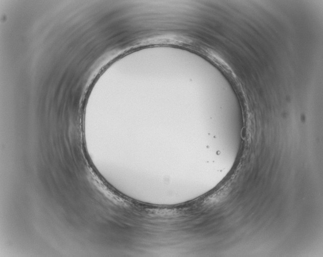 X0000052940800200507221145