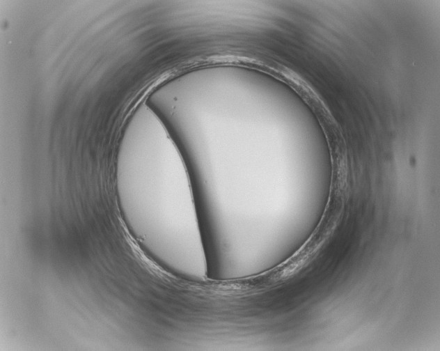 X0000052940801200507221145