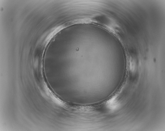 X0000052940802200507221145