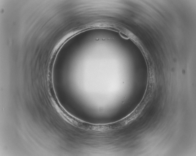 X0000052940803200507221145