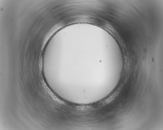 X0000052940804200507221145