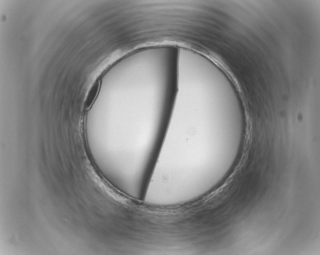 X0000052940805200507221145