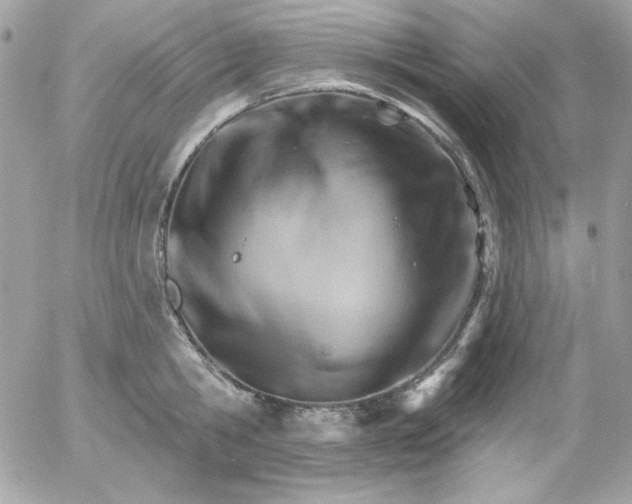 X0000052940806200507221145