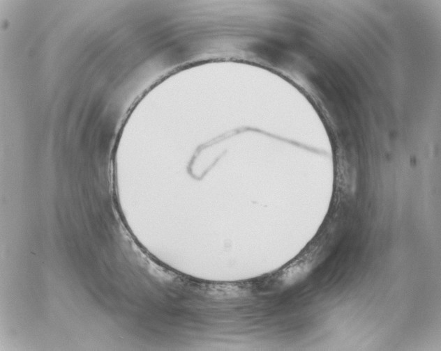 X0000052940807200507221145