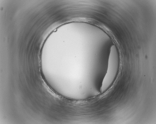 X0000052940808200507221145