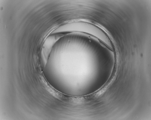 X0000052940809200507221145