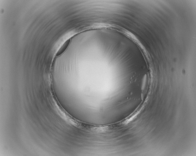 X0000052940810200507221145