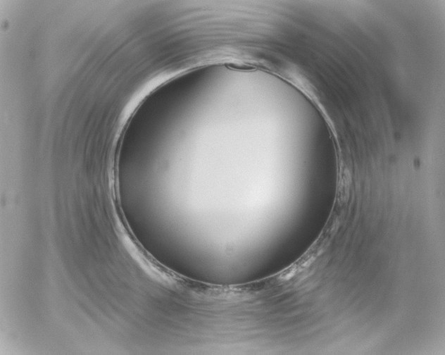 X0000052940811200507221145