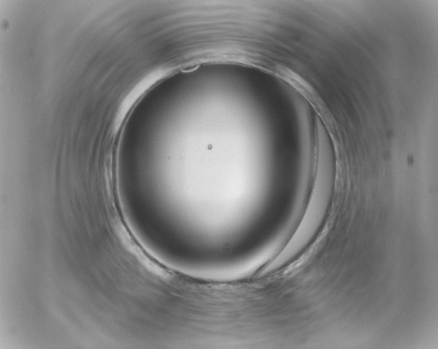 X0000052940812200507221145