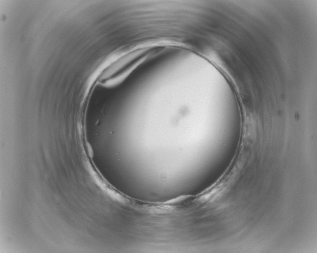 X0000052940813200507221145