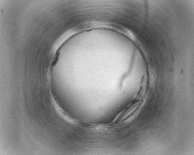 X0000052940814200507221145