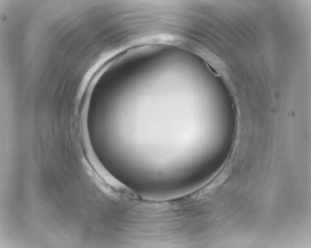 X0000052940816200507221145