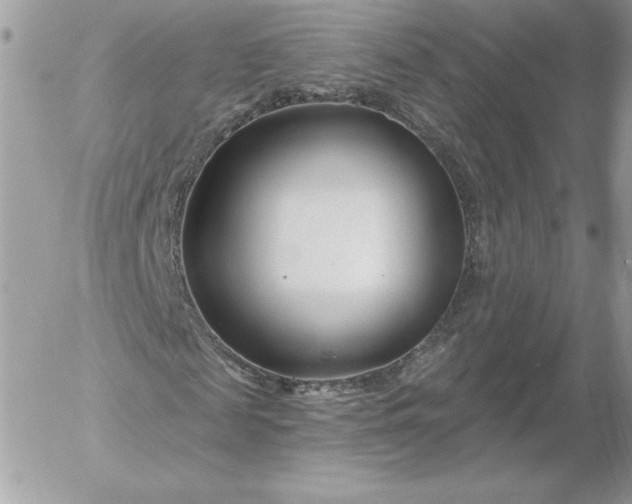 X0000052940817200507221144