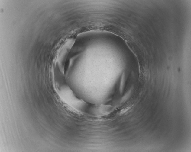 X0000052940818200507221144