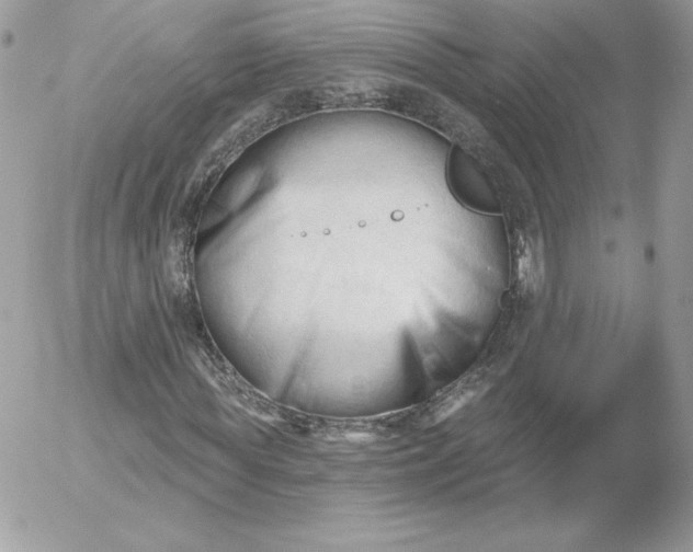 X0000052940819200507221144